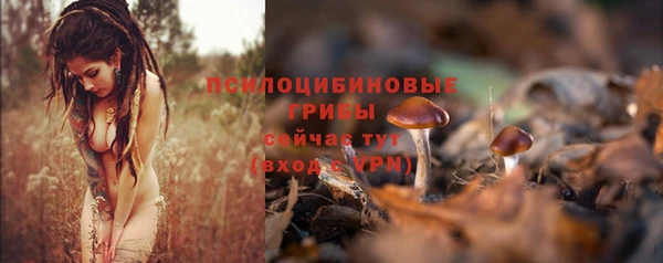 прущая мука Богородицк