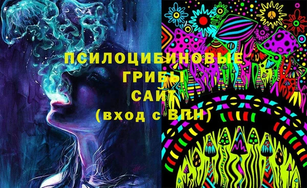 прущая мука Богородицк