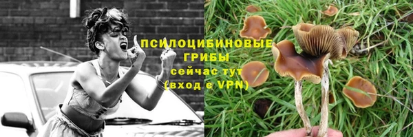 скорость Богданович