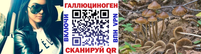 Псилоцибиновые грибы прущие грибы  как найти наркотики  Костерёво 